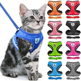 Katzen- und Hundegeschirr, verstellbare Weste, Laufleine, Leine für Welpen, Halsband aus Polyesternetz, Geschirr für kleine u