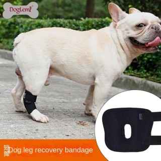 Arthritis Protector Cover Hunde Sprunggelenk Klammer Hund Bein Unterstützung Pet Knie Pads Hunde Verletzungen Recovery XL