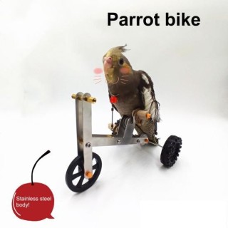 Papagei Training Fahrrad Spielzeug lustige Vogel Nymphensittich Conure Sittich Mini Metall 4-Räder Fahrrad