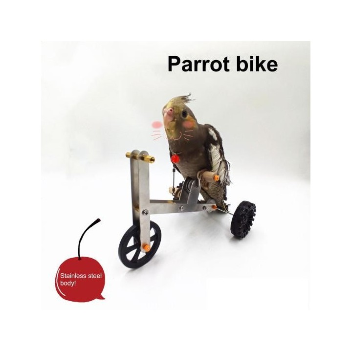 Papagei Training Fahrrad Spielzeug lustige Vogel Nymphensittich Conure Sittich Mini Metall 4-Räder Fahrrad