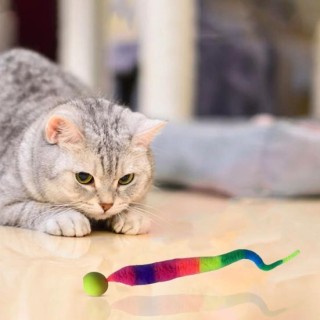 Interaktiver Hüpfball mit Schwanz, bunter, flauschiger Wurm, Hüpfball, Katzenspielzeug, Regenbogen A