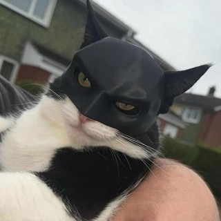 Neue schwarze Fledermaus-Katzen-Rächermaske, süße Fledermausmaske, cooles Superhelden-Haustierspielzeug für Katzen und Hunde,