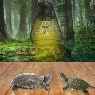 Wärmelampe für Reptilien, einstellbare Helligkeit, Temperatur, Timer, Haustierstall, Heizungsschutz für Hühner UK Plug 1