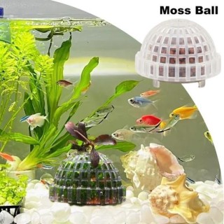 Moos Halbkugel Kolonisation Ball Aquarium Garnelen Fisch Tank Moos Bälle Halter Süßwasser Lebende Pflanzen Gestaltung