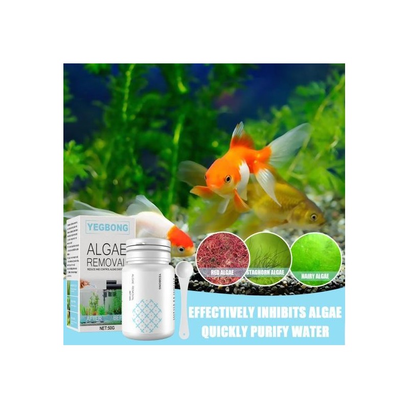 50g Algizid-Zutat Sicherheitspulver Nicht reizend Natürlich Leicht zu verwenden Erfrischendes Wasser Sicheres Deodorant