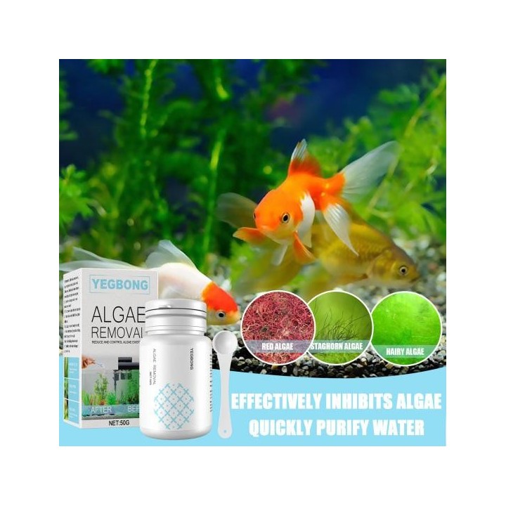 50g Algizid-Zutat Sicherheitspulver Nicht reizend Natürlich Leicht zu verwenden Erfrischendes Wasser Sicheres Deodorant