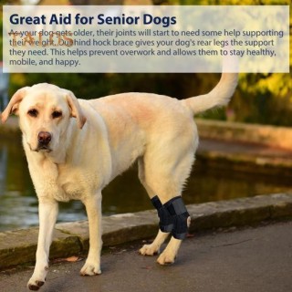 Hundebeinorthese für das hintere Sprunggelenk, Unterstützung des Hinterbeins von Hunden, Knöchelkompressionsbandage für ACL C