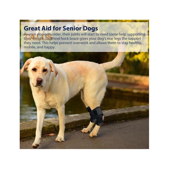 Hundebeinorthese für das hintere Sprunggelenk, Unterstützung des Hinterbeins von Hunden, Knöchelkompressionsbandage für ACL C