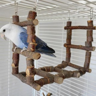 Gute, natürliche und langlebige Vogelständer-Plattform aus Holz für Haustiere, Leiter für Papageien, Trainingsspielzeug für V