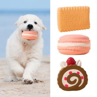 Hunde-Kauspielzeug, integrierter Keks-Kuchen-Quietscher, Simulationsspielzeug, Übung, bissfestes Latex-Training, interaktives