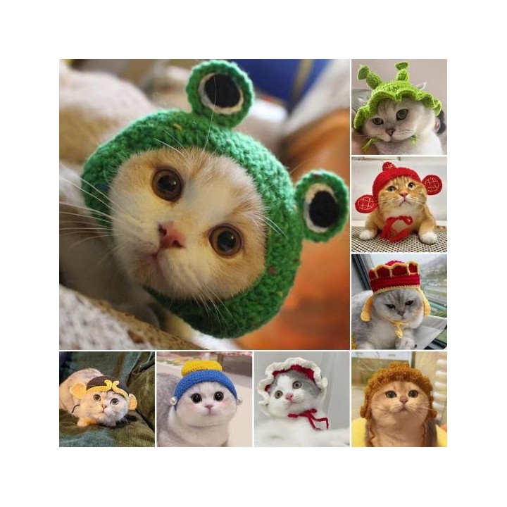 Gestrickte Haustiermütze Handarbeit Gehäkelter Frosch Gott des Reichtums Kostüm Accessoire Winter Warmes Haustier S
