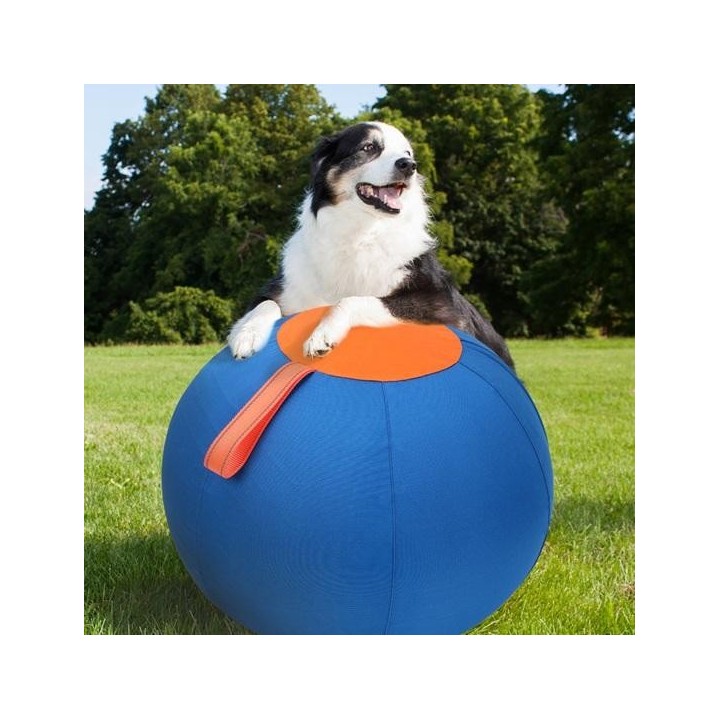 Hütebälle für Hunde, Pferdeball, Spielzeug, verdickter, platzsicherer Ball, kratzfest, Trainingsball, stimuliert die Sinne