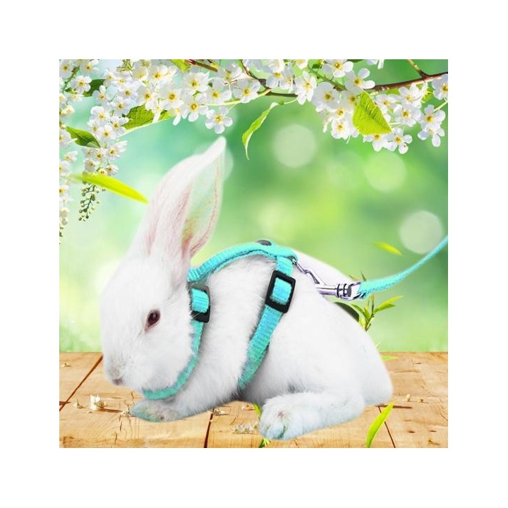 Verstellbares weiches Polyester-Kaninchengeschirr für kleine Haustiere, Leine, Meerschweinchen-Führleine schwarz