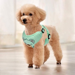 Haustier Hund Geschirr Leine Set Reflektierende Atmungsaktive Geschirre Hund Geschirre Einstellbar Bequem Welpen Outdoor Reis