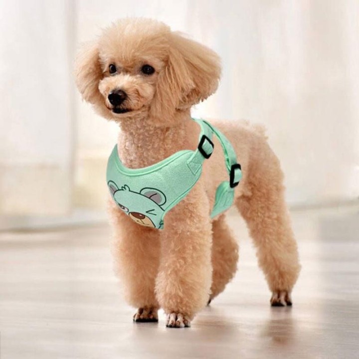 Haustier Hund Geschirr Leine Set Reflektierende Atmungsaktive Geschirre Hund Geschirre Einstellbar Bequem Welpen Outdoor Reis