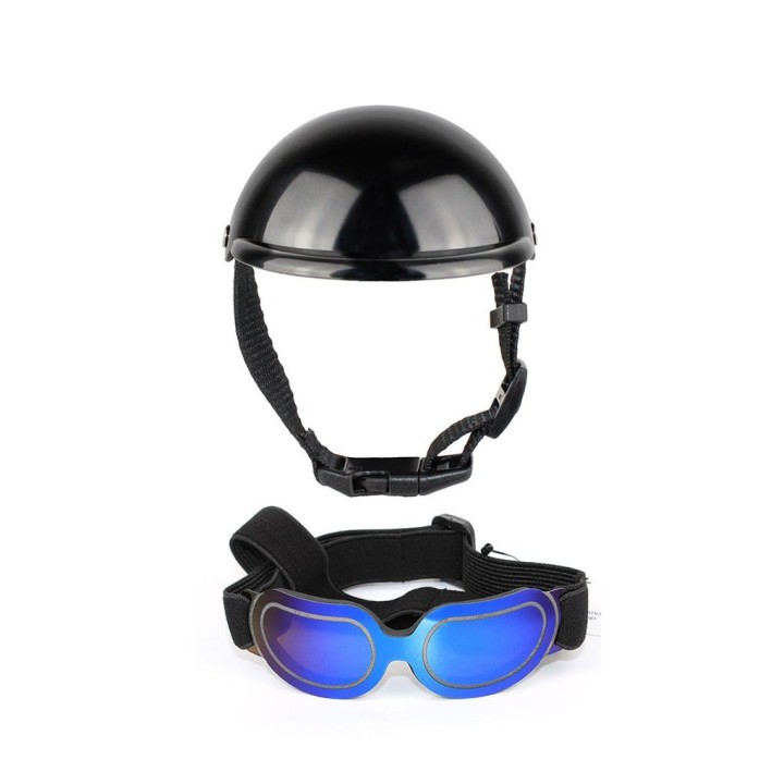 Schutzbrille für Hunde und Katzen, Heimtierbedarf, Brille, süßes Geschenk, Verarbeitung, langlebig, atmungsaktiv, solide, exq