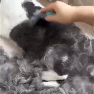 1pc Pet Haar Entfernung Kamm Katze Hund Universal Deshedding Messer Deshedding Kamm Katze Hund Schaben Kamm Offenen Knoten ka