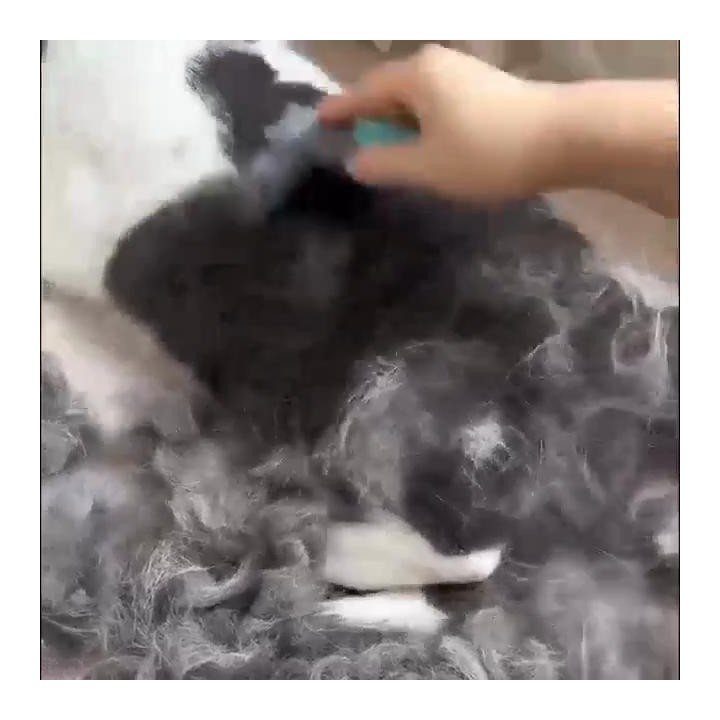 1pc Pet Haar Entfernung Kamm Katze Hund Universal Deshedding Messer Deshedding Kamm Katze Hund Schaben Kamm Offenen Knoten ka