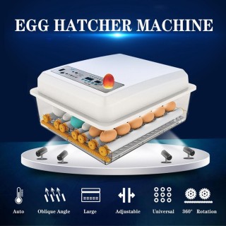 Weiß 110-220 V Eier Inkubator 64 Ei Automatische Hatcher Maschine Gans Wachtel Huhn 1 Battery