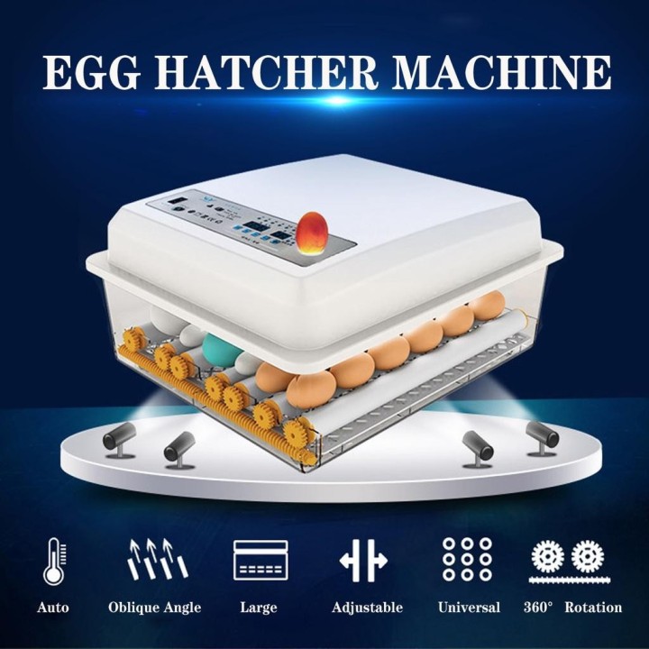 Weiß 110-220 V Eier Inkubator 64 Ei Automatische Hatcher Maschine Gans Wachtel Huhn 1 Battery