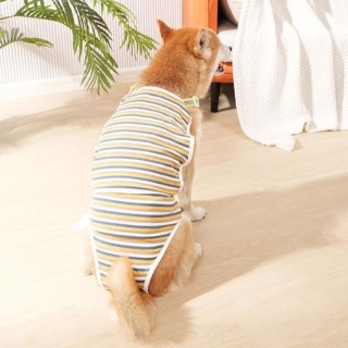 Menstruationshosen für Haustiere, Windelgürtel für Hunde, Damenhygiene-Höschen, Shorts, wasserdicht, atmungsaktiv, Neckholder