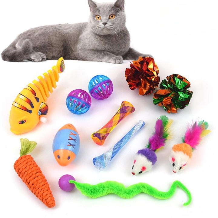 Haustier Katze Spielzeug elastische Raupe bunte Feder Maus Katze Uhrwerk Fisch Set 12-piece set