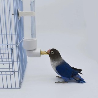 130Ml Papagei Wasser Dispenser Trinken Flasche Hängen Automatische Feeder Käfig Zubehör Für Chinchillas Kaninchen onesize