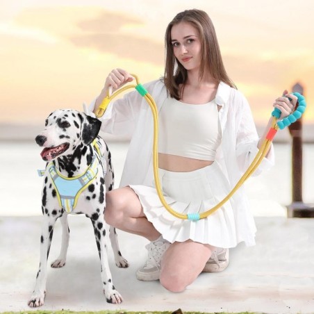 Hundeleine, nicht verheddernde Haustierleine aus Nylon für Hunde und Katzen, bequemer Griff, einfache Kontrolle, rutschfestes