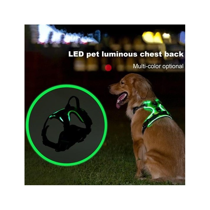 Leuchtendes Haustiergeschirr, wiederaufladbares LED-beleuchtetes Hundegeschirr, verstellbarer leuchtender Brustgurt für Haust