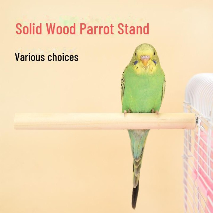 Vogelständerstange aus Massivholz mit Schrauben für Stare, Mynas, Papageien – Käfigzubehörplattform. 10cm