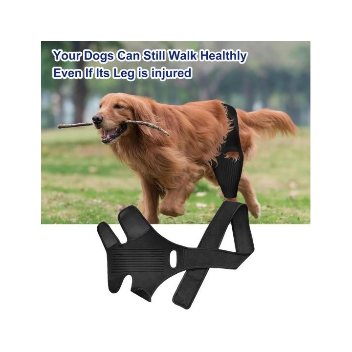 Haustier-Erholungsgürtel, Hundebeinstütze, schützende Knie- und Hüftstütze für Hunde, einfach zu installieren, unterstützende