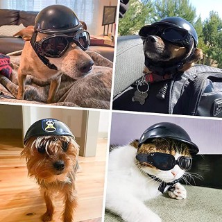 Sagit Haustier, Helm, Motorrad, Hund, Helm, Hund, Helm, für, Fahrrad, Katze, Hut, Reiten, Welpe, Helm S schwarz
