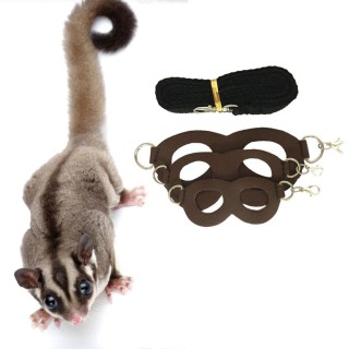 Pet Outdoor supplies Anti-knot Squirrel Chest Strap Traction Rope Hamster Anti Lost Rope Pet Leash rot