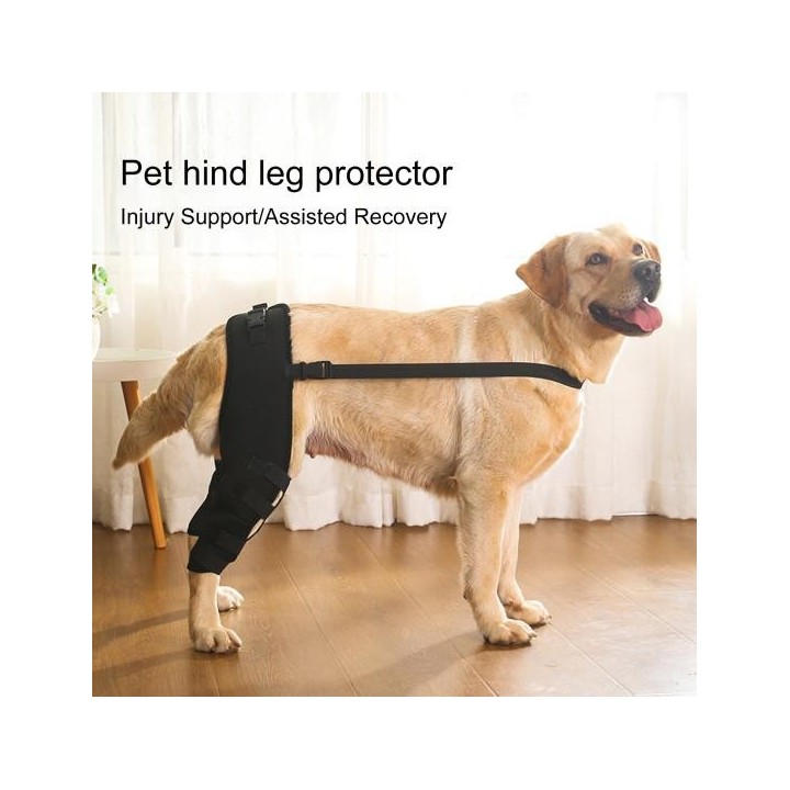Haustier-Schutzausrüstung, weich, atmungsaktiv, verstellbar, unterstützende Beinschienen für Haustiere, Erholungsanzug für Hu