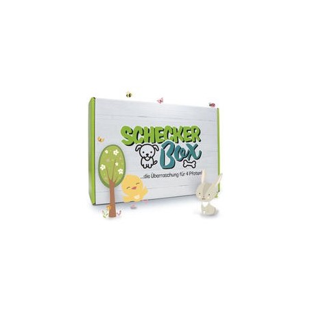 Frühlings-Box