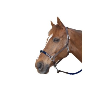 Halfter aus Leder Canter