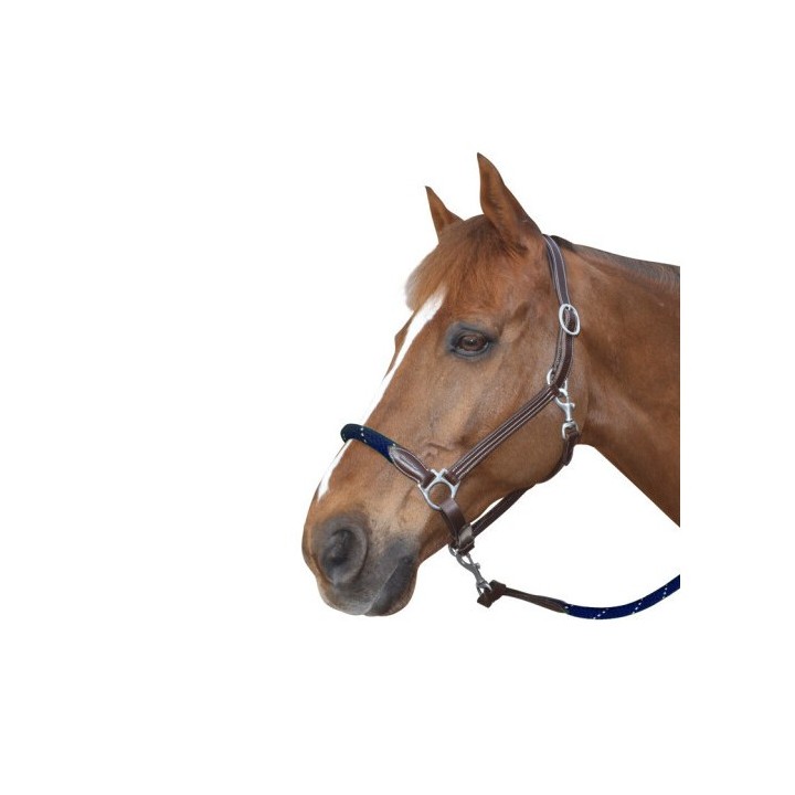 Halfter aus Leder Canter