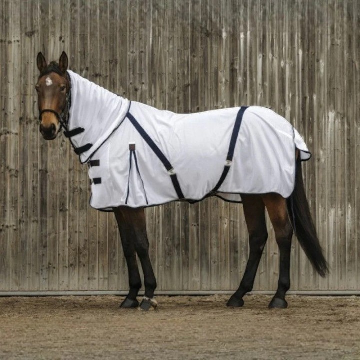 Hemd für Pferd Equithème Combo