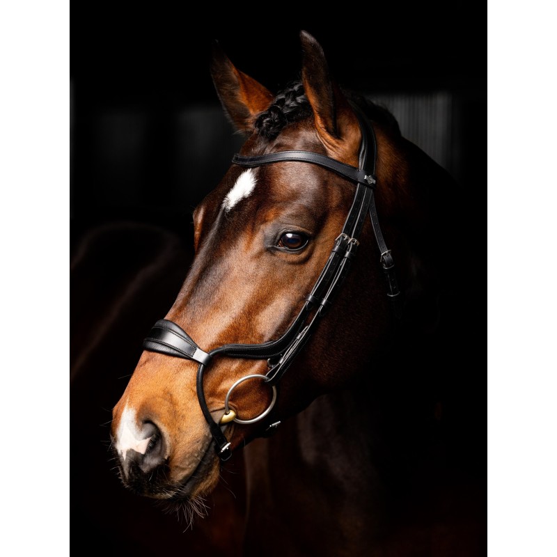 Anatomisch verstellbares Reitbitt mit Nasenriemen LeMieux Arika