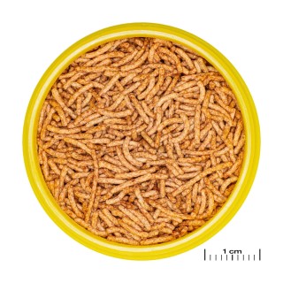 Fischfutter JBL Pronovo Red Insect Stick