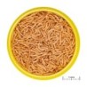 Fischfutter JBL Pronovo Red Insect Stick