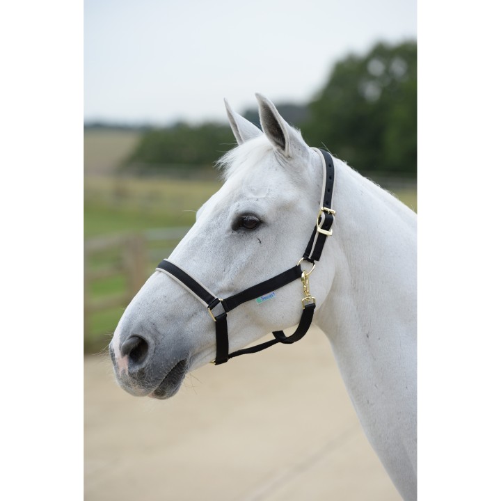 Halfter für Pferd Bucas Dublin