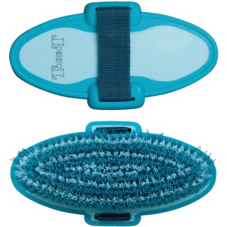 Pferdebürste T de T