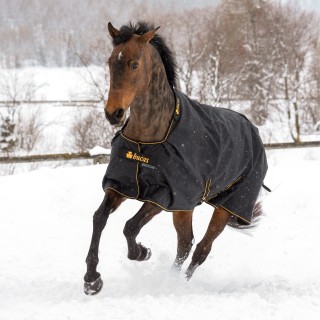 Outdoor-Decke für Pferde Bucas Irish 50g