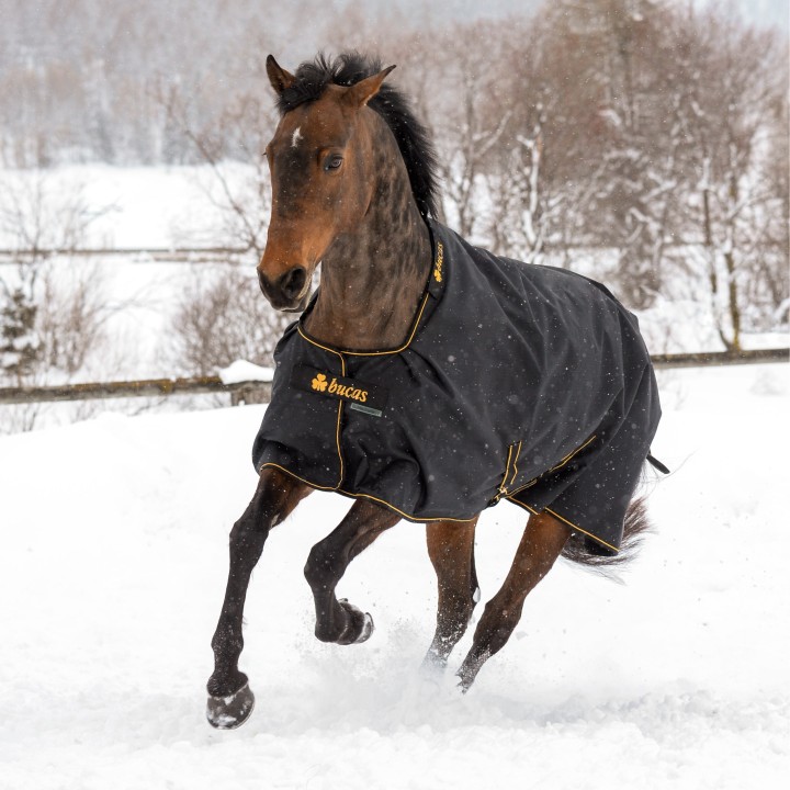 Outdoor-Decke für Pferde Bucas Irish 50g