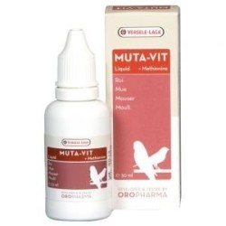 VERSELE-LAGA Multivitaminpräparat mit Methionin für die Mauser 30ml