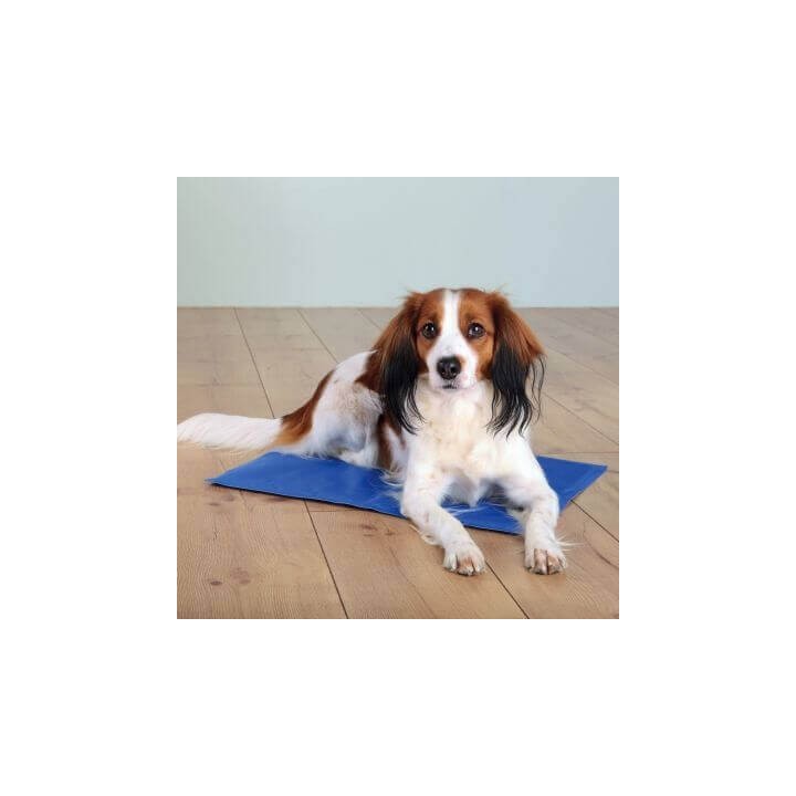 TRIXIE Kühlmatte 40 × 30 cm