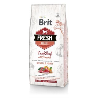 BRIT Fresh beef with pumpkin puppy large 2,5 kg