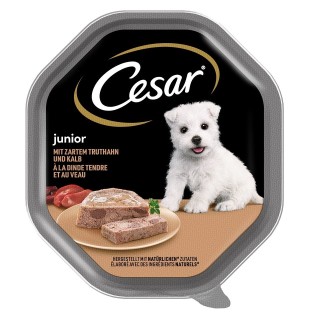 CESAR Junior 150 g Schale Puten- und Kalbfleischpastete für Welpen