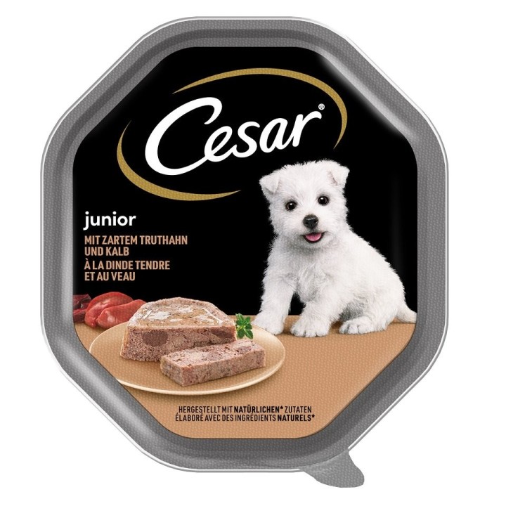 CESAR Junior 150 g Schale Puten- und Kalbfleischpastete für Welpen